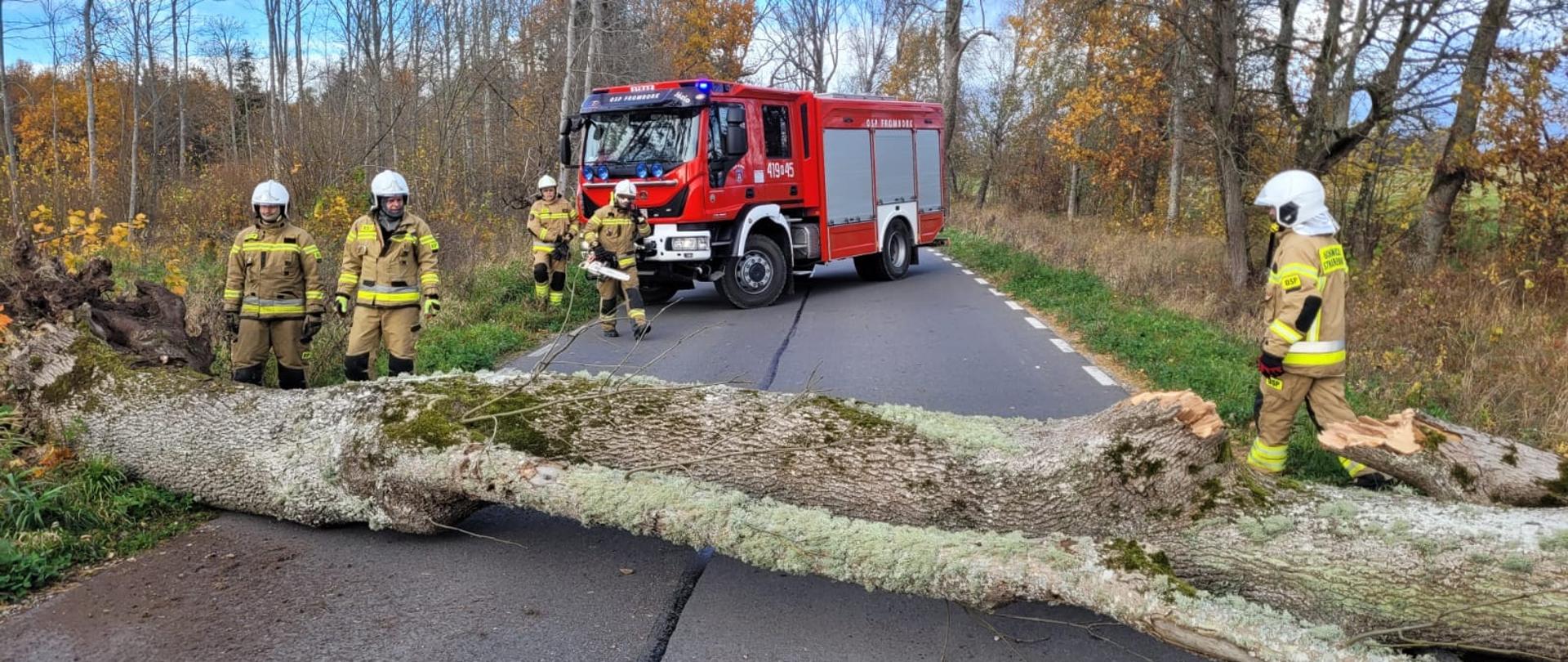 W poprzek drogi leży duże drzewo, blokuje przejazd. Dalej duży samochód strażacki na drodze, strażacy przygotowują się do cięcia drzewa.