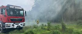 Ćwiczenia pn. Akcja gaśnicza podczas palącego się poszycia leśnego na terenie Leśnictwa Kąty Rybackie