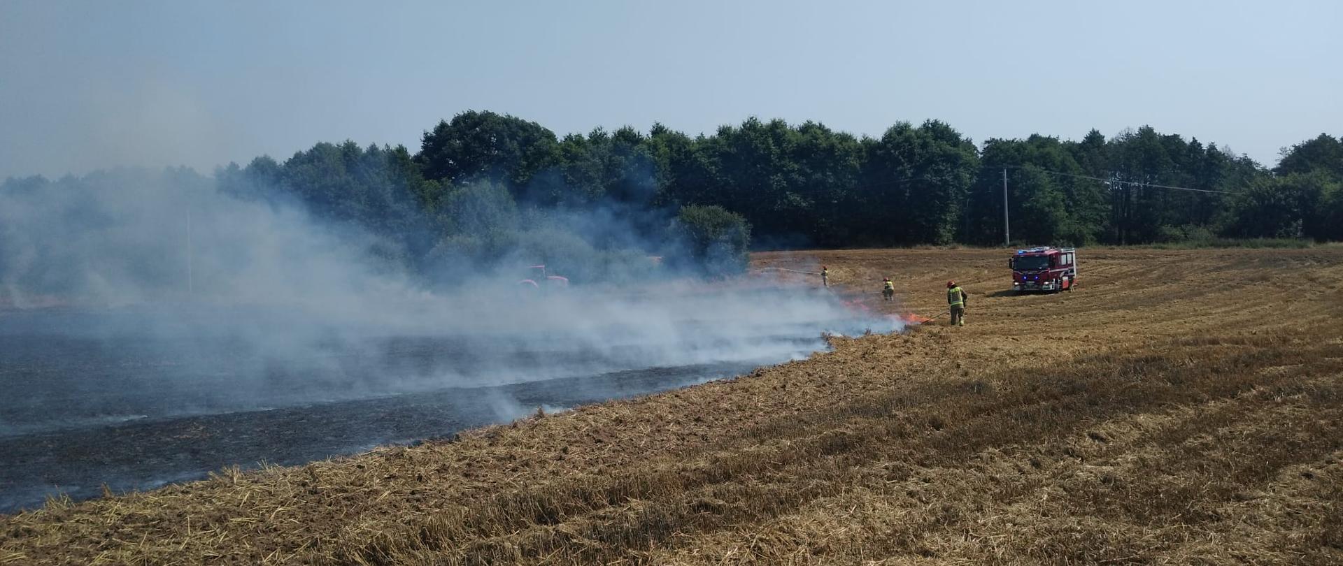 Pożar ścierniska po zbożu, część pola wypalona czarna, dożo dymu. W oddali samochód strażacki i strażacy. 