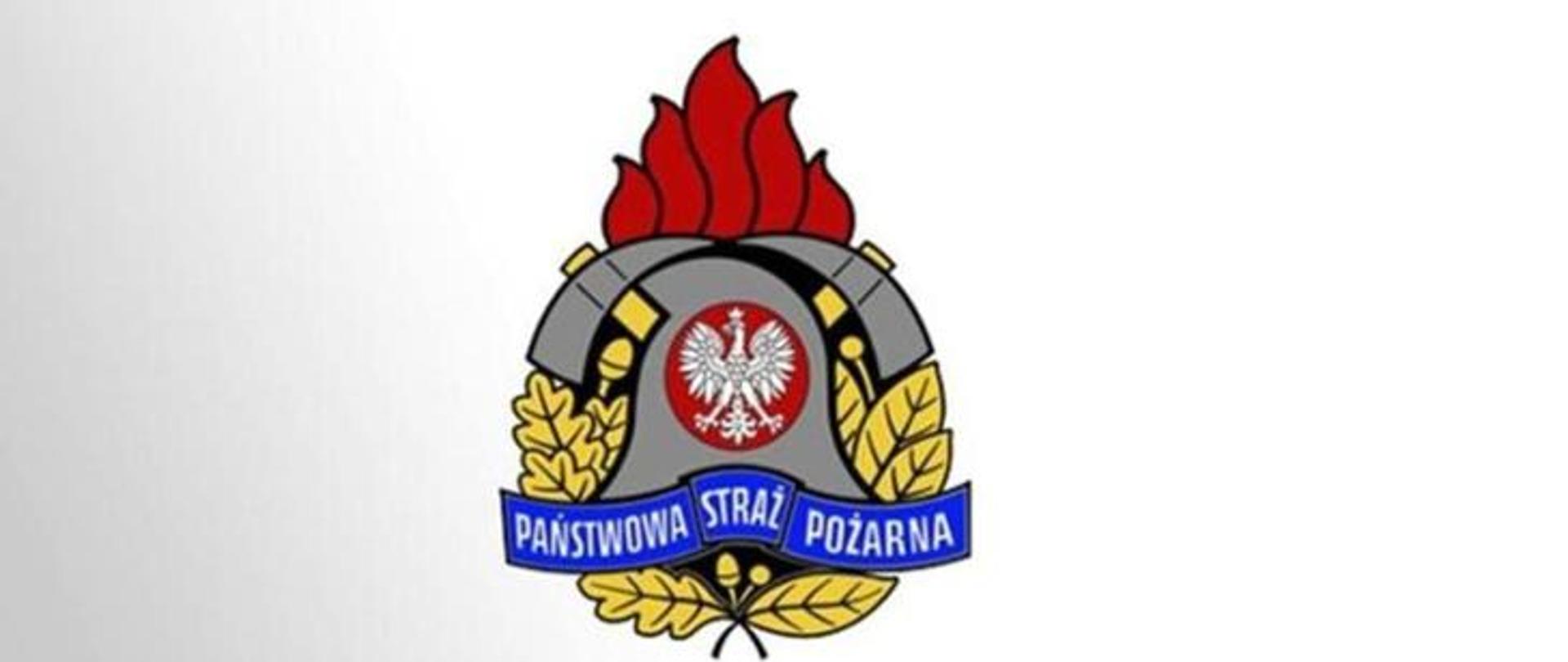 Logo PSP