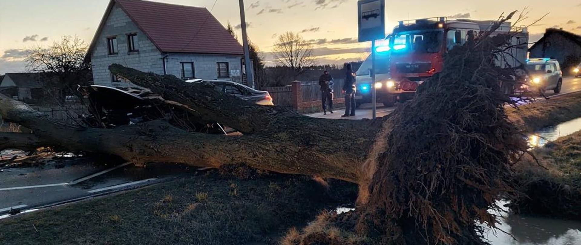 Podsumowanie działań po przejściu silnych wiatrów w dniach 17-19.02.2022 r. na terenie województwa mazowieckiego