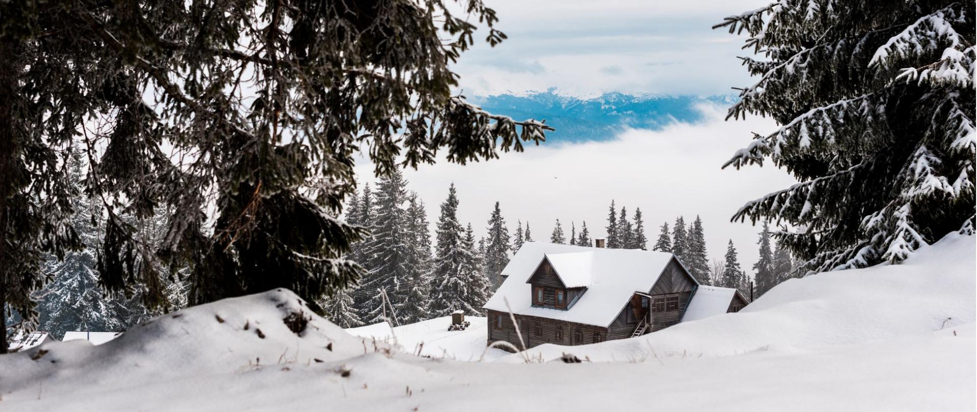 Na zdjęciu w oddali widać zaśnieżoną chatę. Z przodu widoczne są drzewa.