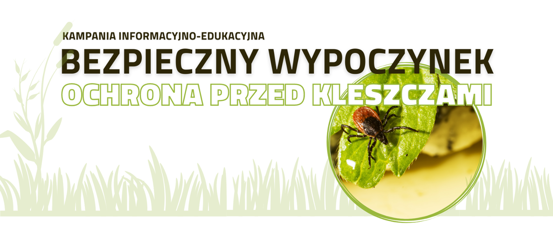 Bezpieczny wypoczynek - ochrona przed kleszczami