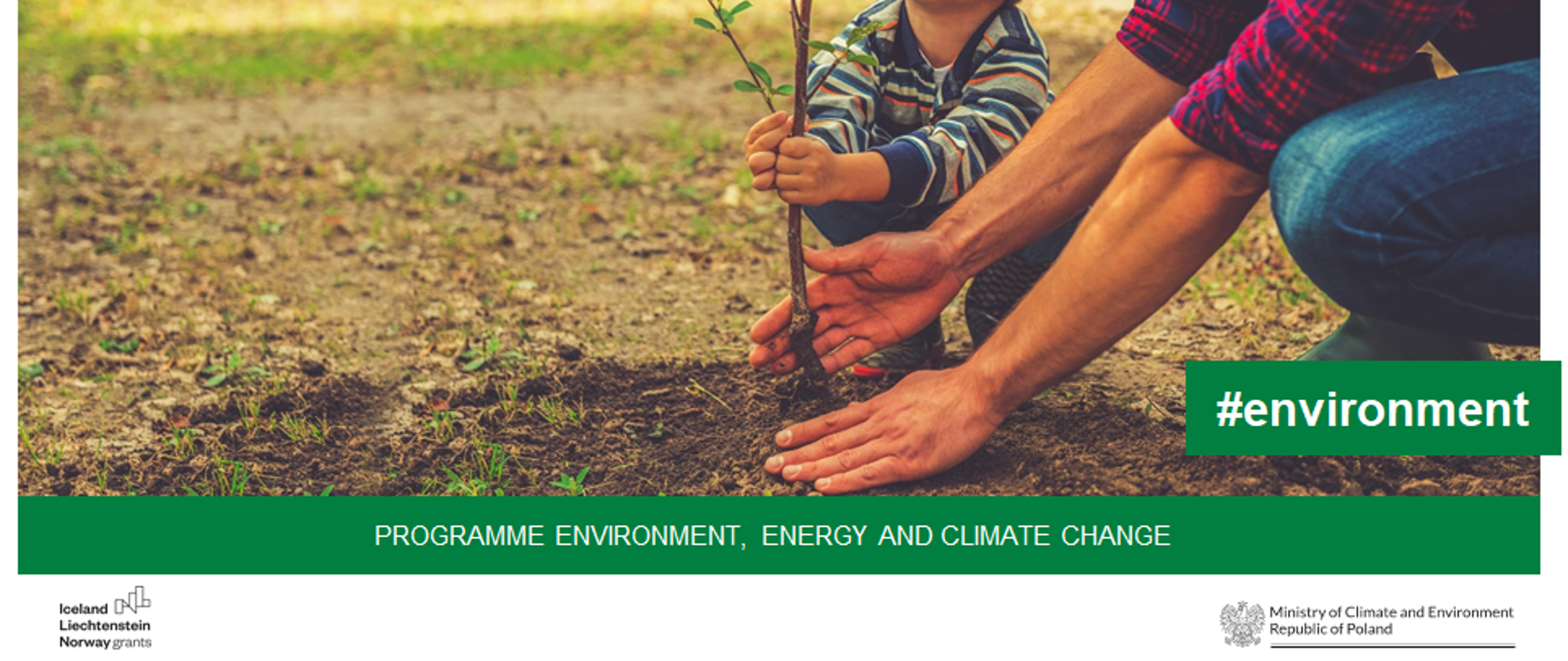 Environment, Energy and Climate Change Programme environment NGO's