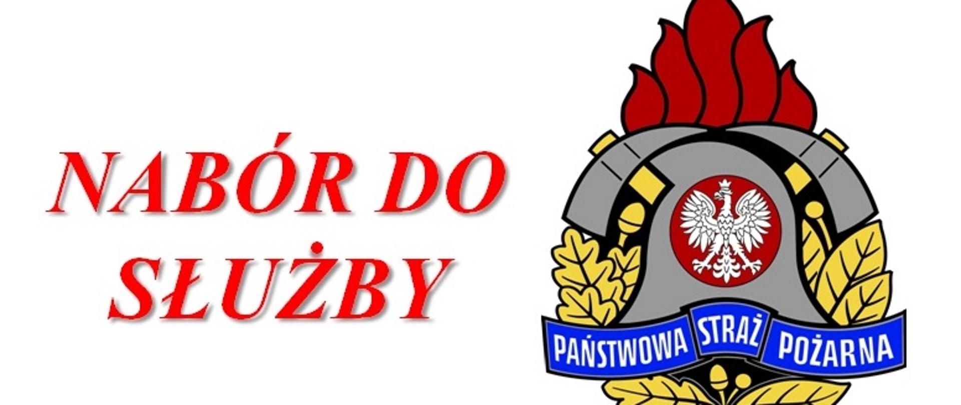 LOGO PSP I BANER NABÓR DO ZŁUŻBY