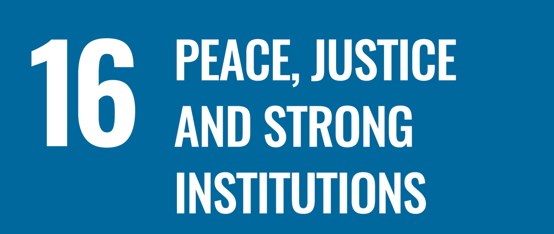 16 Peace, justice and strong institutions