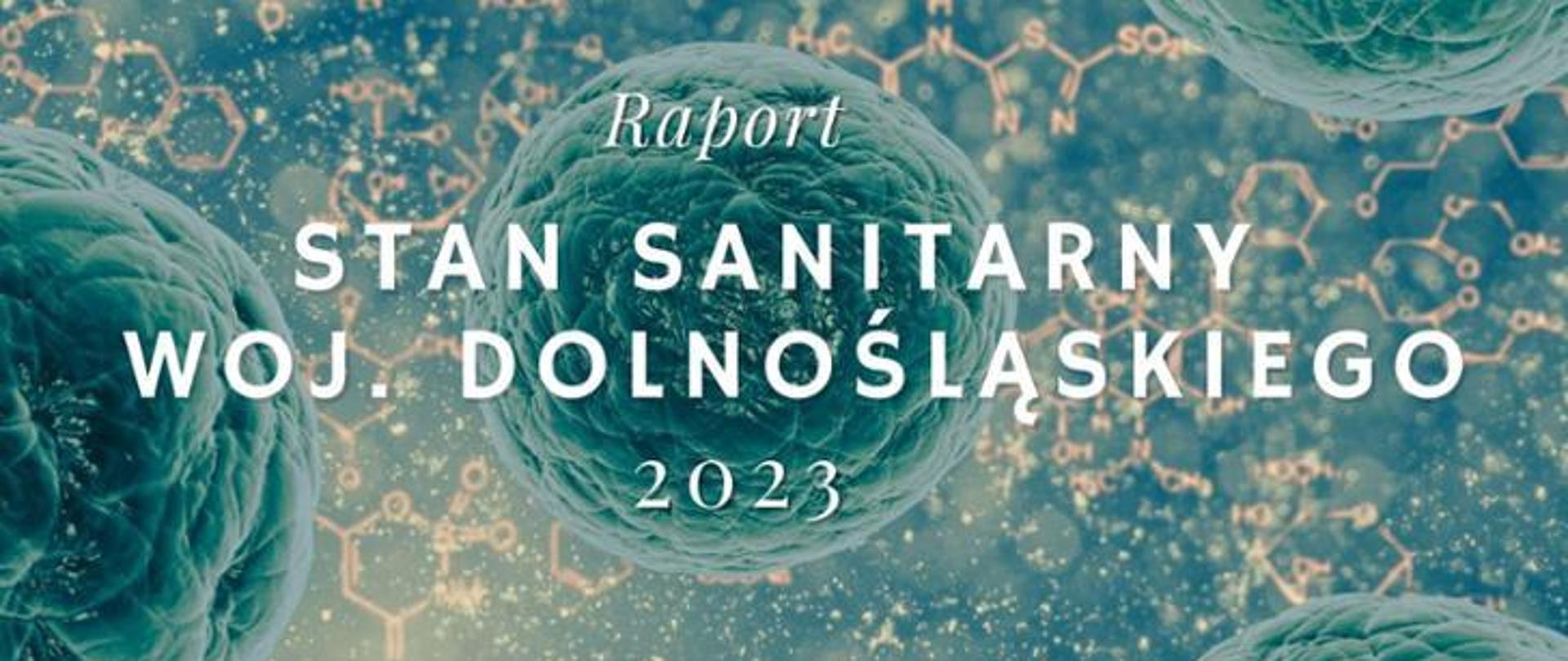 Raport Stan Sanitarny woj. Dolnośląskiego 2023