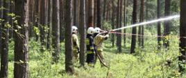 Funkcjonariusze OSP w ubraniach bojowych gaszą improwizowany pożar pośród drzew