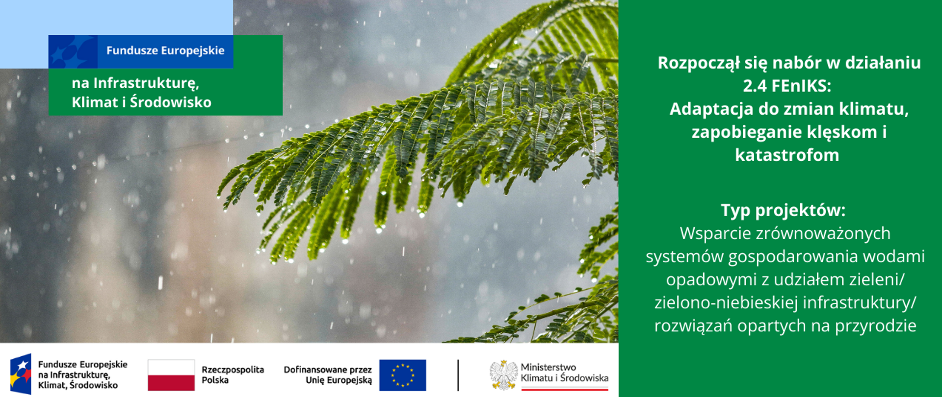 Na głównym planie, widok gałązki drzewa oraz krople deszczu. Na grafice widoczne również logotypy programu FEnIKS oraz napis "Rozpoczęcie się naborowi w działaniu 2.4 Adaptacja do zmian klimatu, zapobieganie klęskom i katastrofom Typ projektów: Wsparcie zrównoważonych systemów gospodarowania wodami opadowymi z udziałem zieleni/zielono-niebieskiej infrastruktury/rozwiazań opartych na przyrodzie