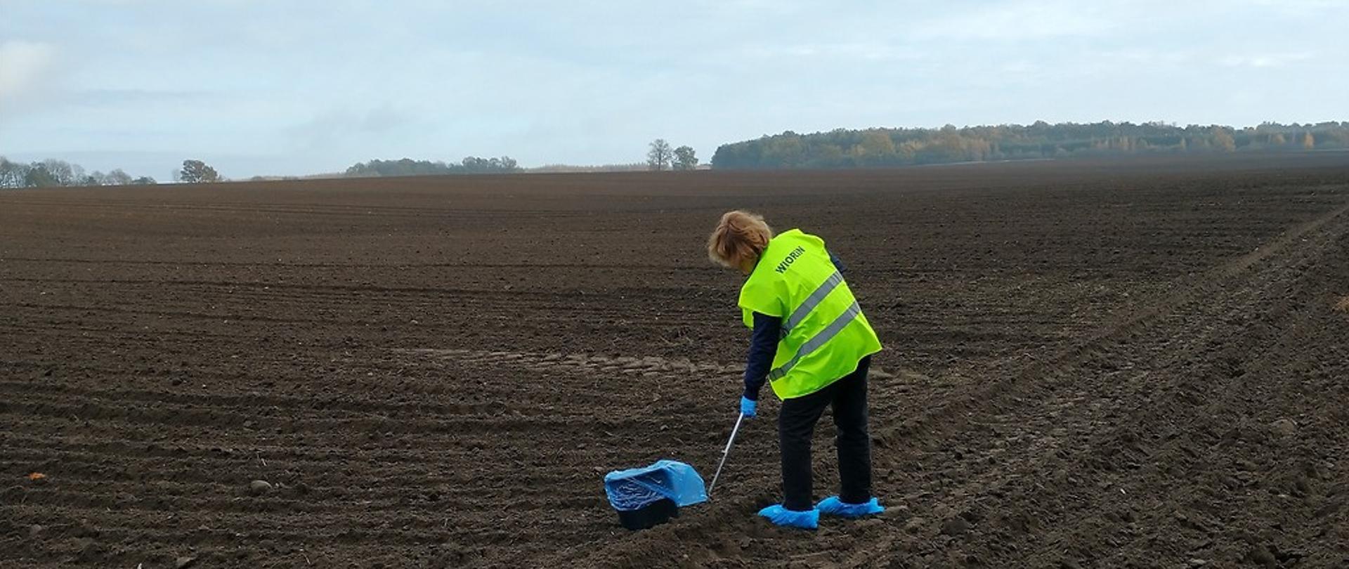 Inspektor w odblaskowej kamizelce z napisem WIORIN stojący na polu i pobierający próbę gleby laską glebową