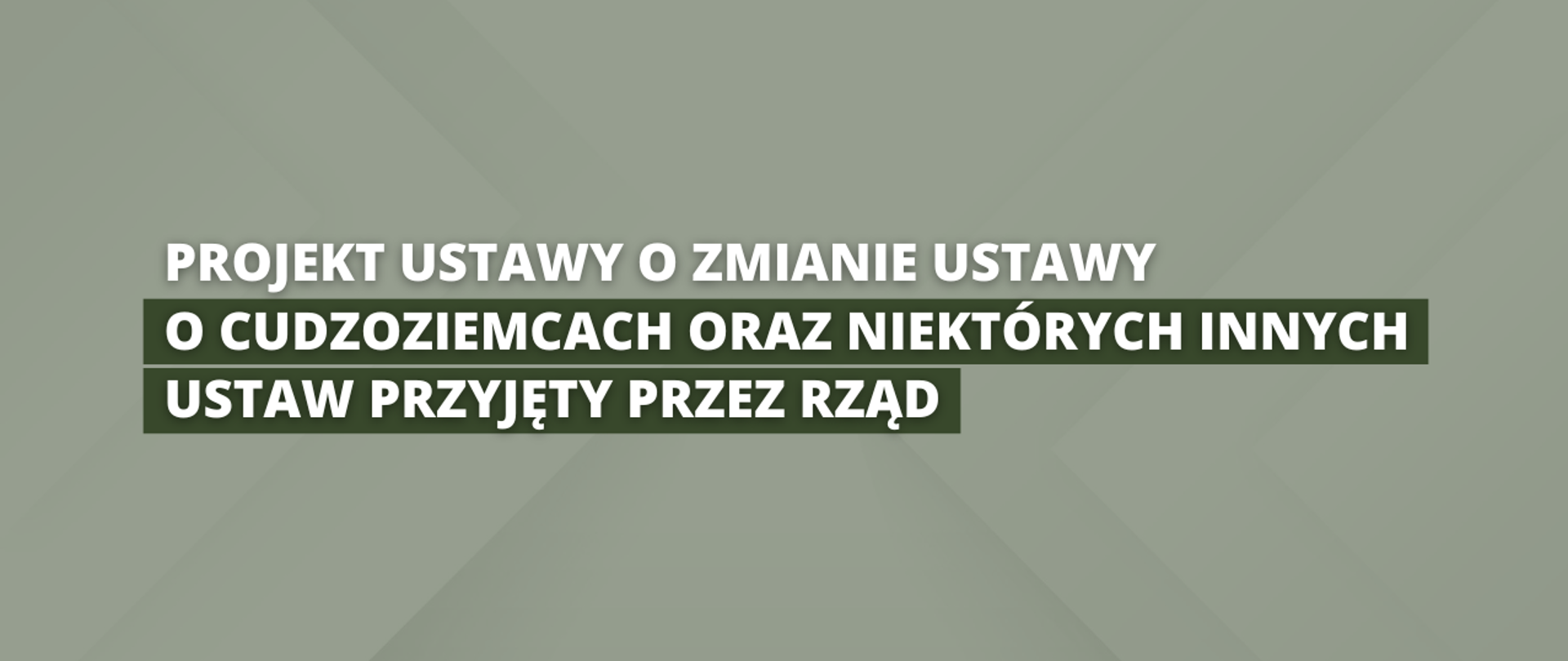 Projekt ustawy o zmianie ustawy o cudzoziemcach oraz niektórych innych ustaw przyjęty przez rząd