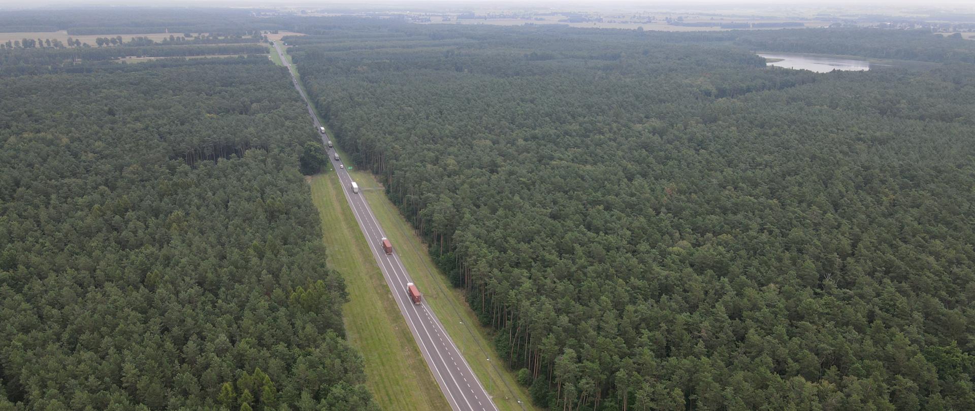 Przyszła S19 Kock - Radzyń Podlaski. Na zdjęciu widać drogę biegnącą przez las. Zdjęcie z poziomu drona.