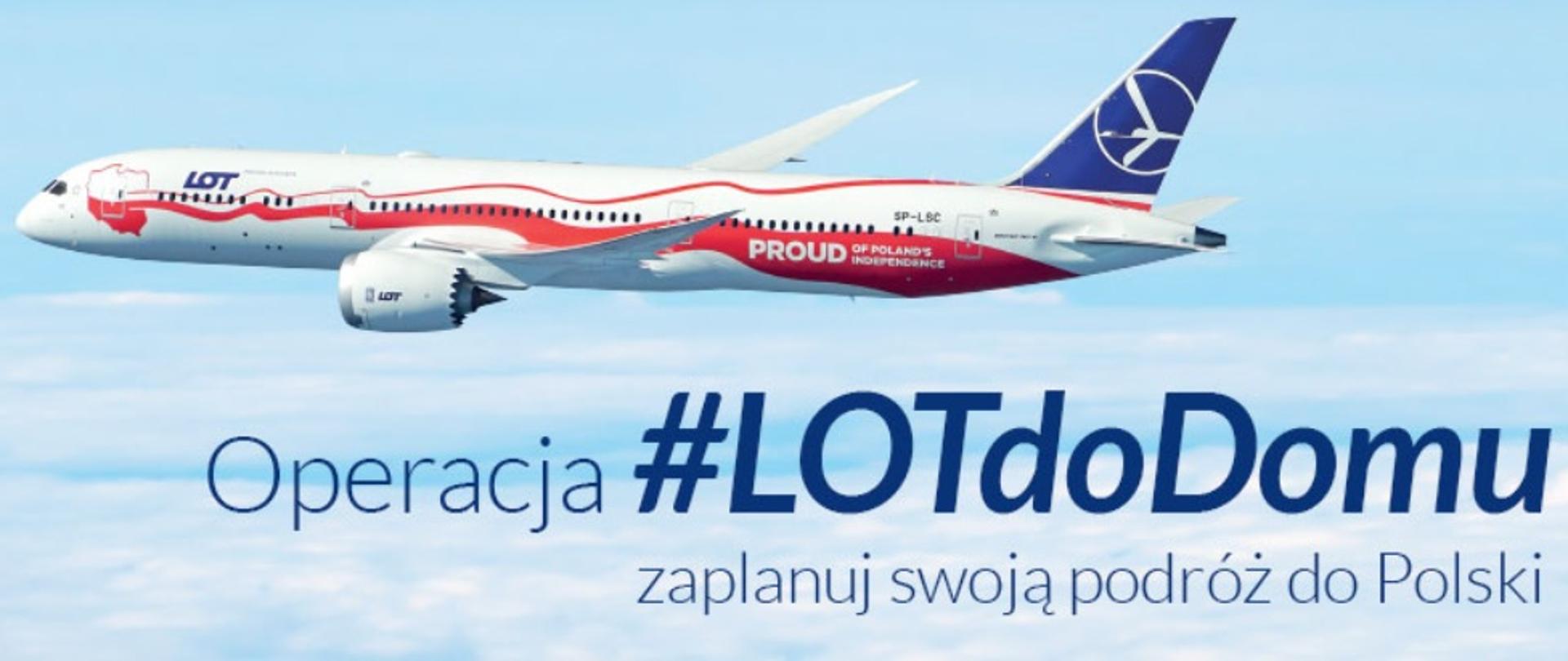 #lotdodomu2