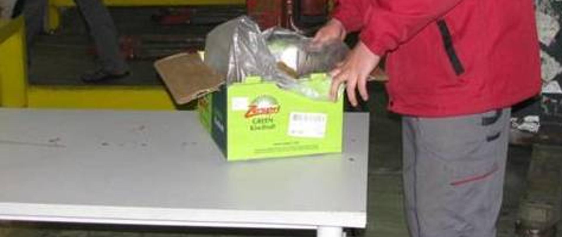 zdjęcie przedstawia fragment postaci kontrolera sprawdzającego jakość owoców znajdujących się w pudle kartonowym na stole inspekcyjnym