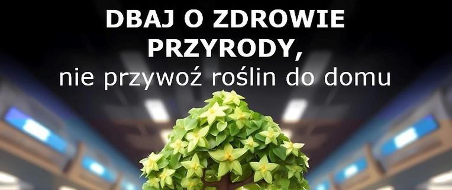  Dbaj o zdrowie przyrody, nie przywoź roślin do domu, obrazek: drzewo przedstawione jako człowiek, obok stojąca walizka