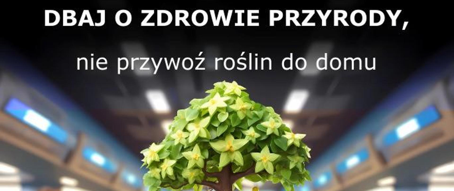 Kampania PlantHealth4Life - Dbaj o zdrowie przyrody, nie przywoź roślin do domu