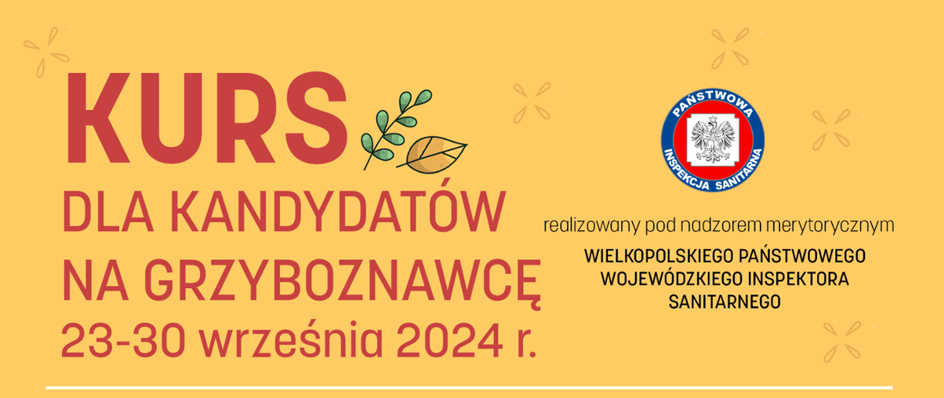 Baner z tytułem: "Kurs dla kandydatów na grzyboznawcę w terminie: 23 – 30 września 2024 r." realizowany pod nadzorem merytorycznym Wielkopolskiego Państwowego Wojewódzkiego Inspektora Sanitarnego. Grafika z zieloną gałązką i żółtym liściem. Całość na żółtym tle.