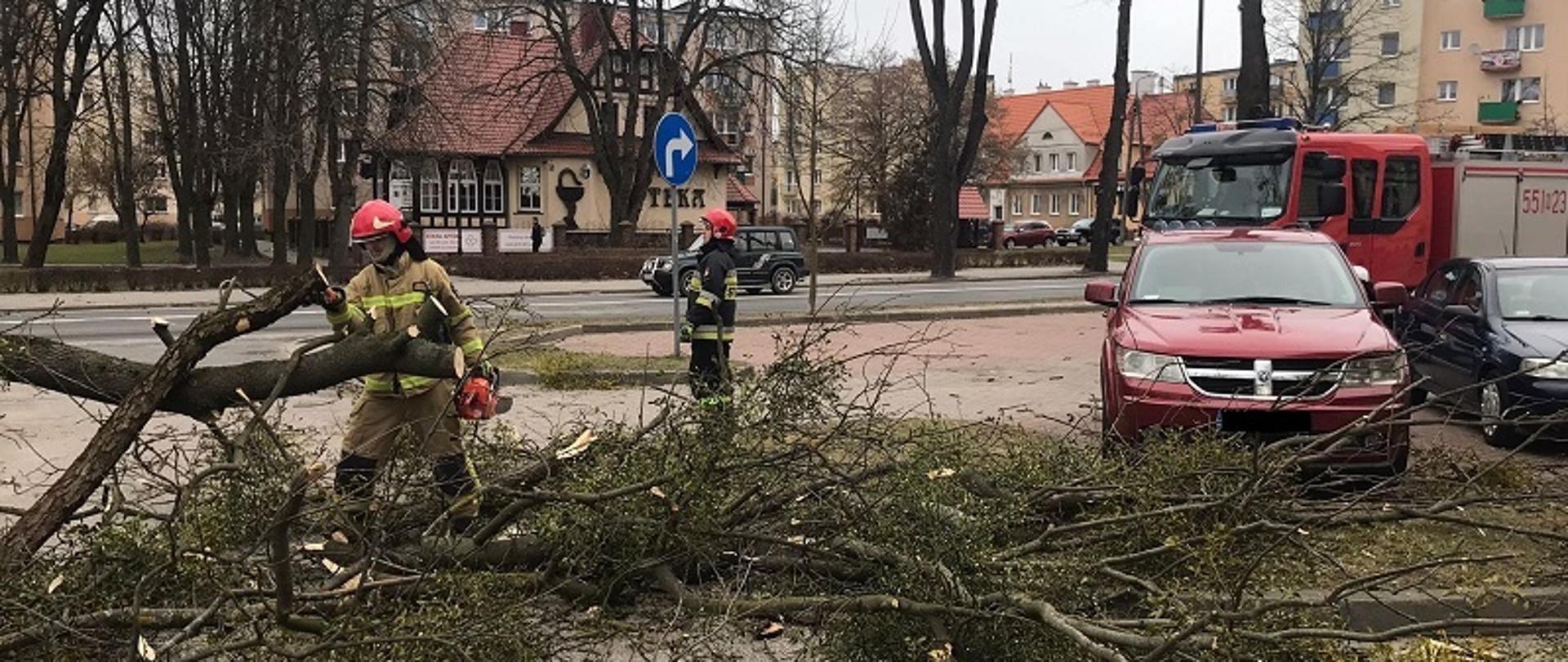 Zdjęcie przedstawia strażaków usuwających przewrócone drzewo
