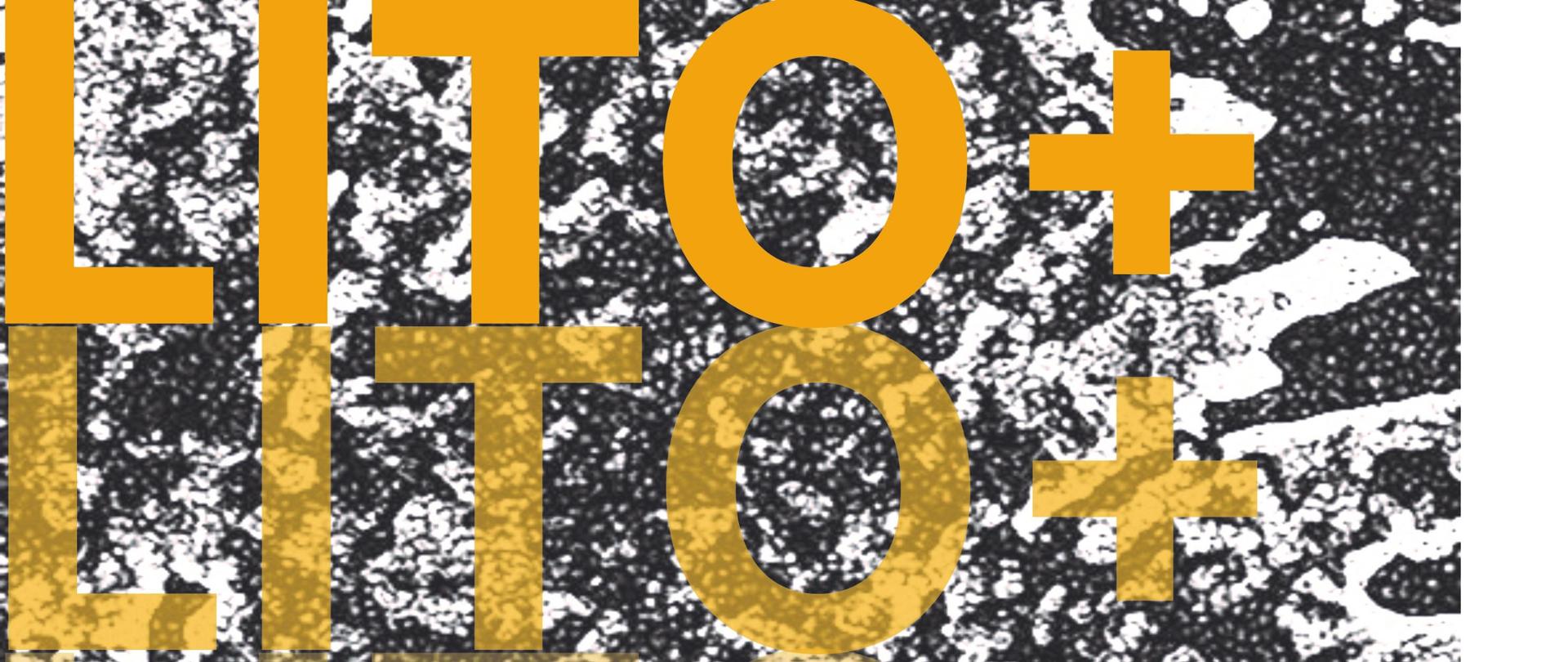 Grafika w kolorach czerni i bieli u góry 3 napisy w kolorze żółtym LITO+ Na dole po prawej w kolorze żółtym cyfra 14 po lewej w kolorze czarnym logo i LSP Tarnów i Uniwersytetu Rzeszowskiego na środku grafiki w kolorze czarnym opis wernisażu wraz z datą i miejscem po prawej imiona i nazwiska prowadzących