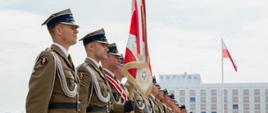 Polish troops festival