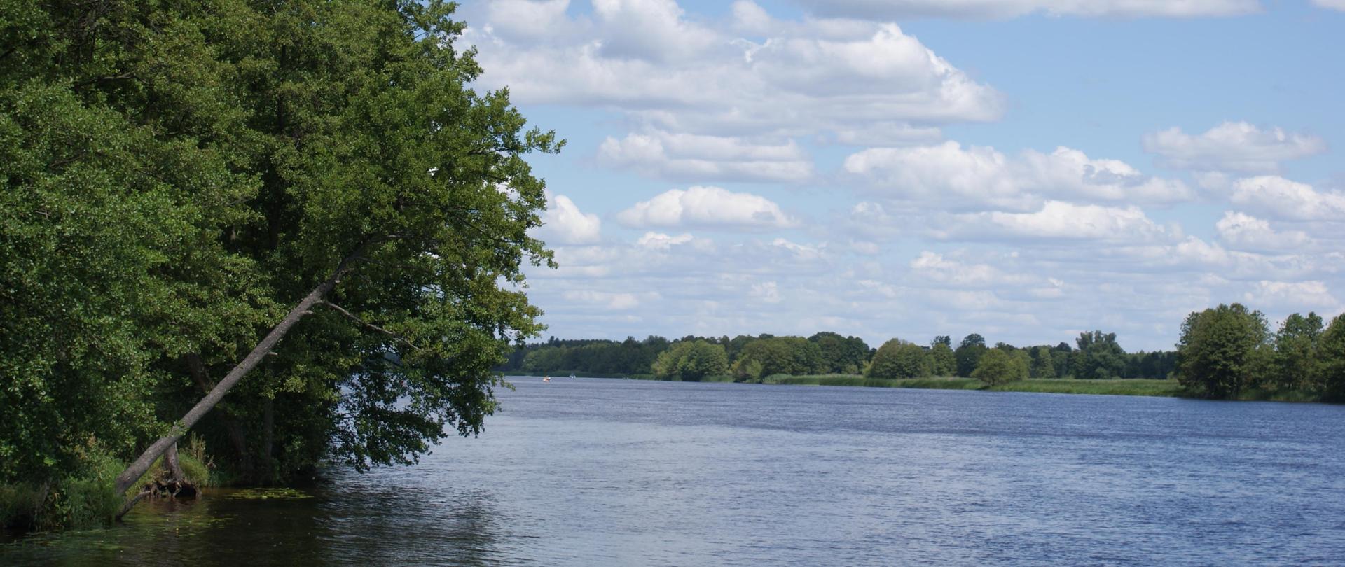 Rzeka Narew