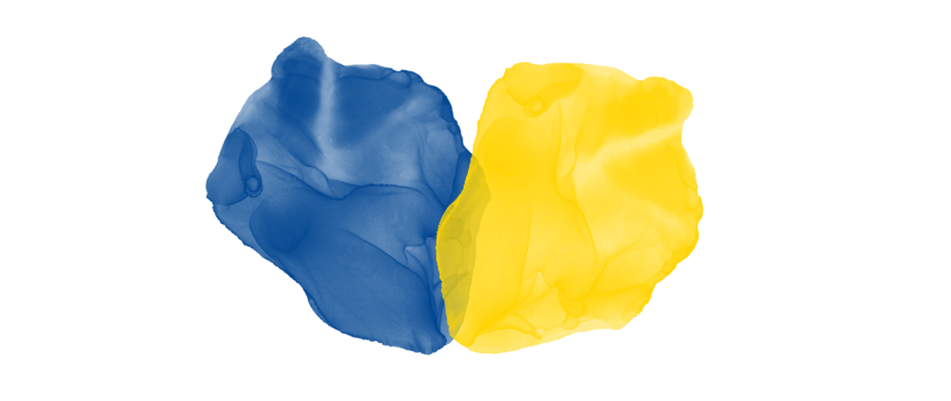 Program grantowy Fundacji Kościuszkowskiej dla ukraińskich naukowców