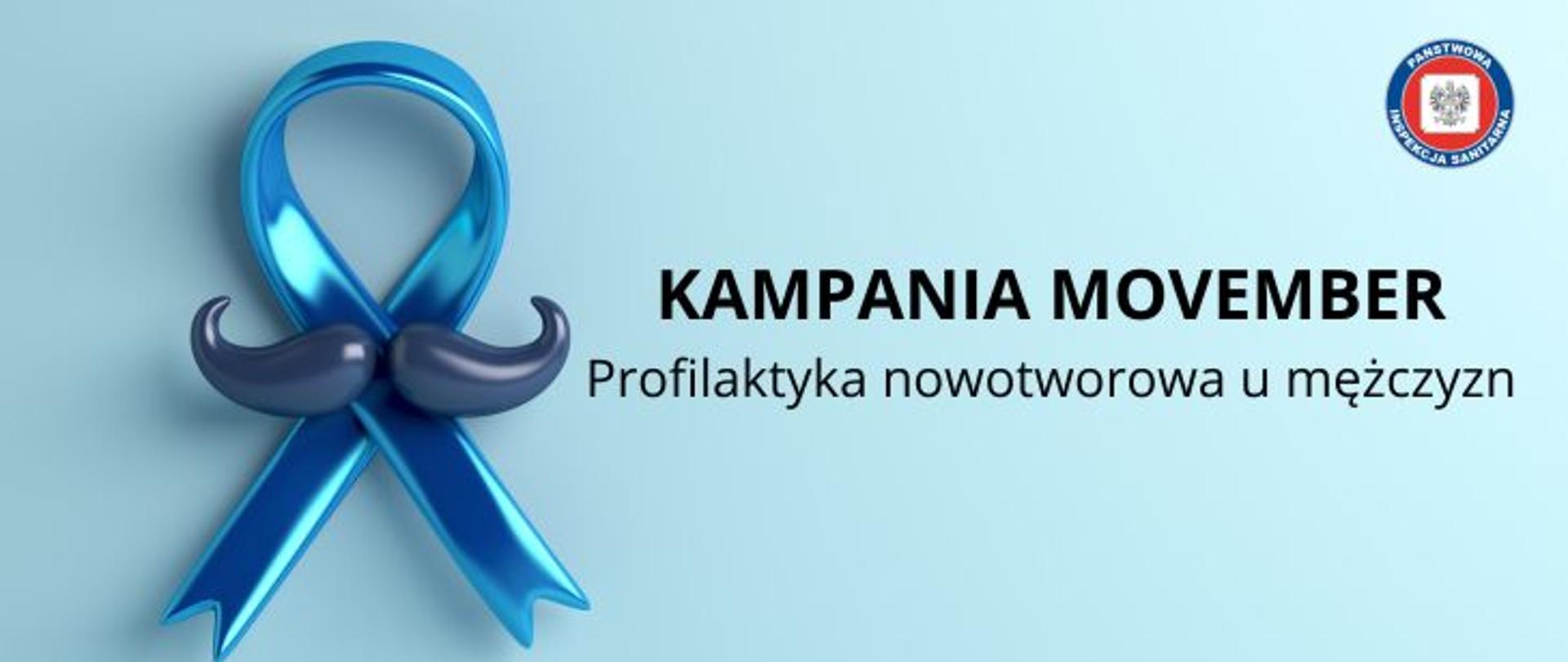 Na jasno niebieskim tle po lewej stronie niebieska wstążeczka z czarnymi wąsami - symbol kampanii movember. Na środku czarny napis kampania movember oraz Profilaktyka nowotworowa u mężczyzn. W prawym górnym rogu logo Państwowej Inspekcji Sanitarnej.