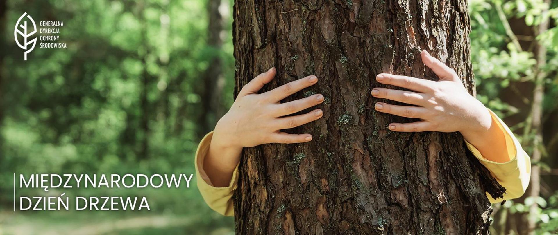 Na zielonym tle lasu na pierwszym planie pień drzewa obejmowany przez osobę stojącą za tym drzewem. W lewym dolny rogu napis: Międzynarodowy dzień drzewa. W lewym górnym rogu logo Generalnej dyrekcji Ochrony Środowiska. 