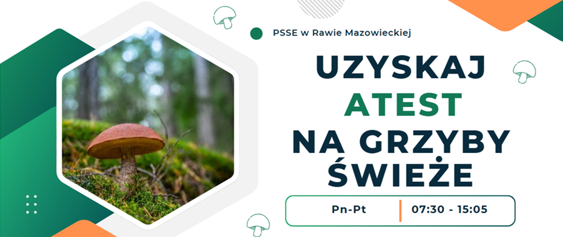 Uzyskaj atest na grzyby świeże 