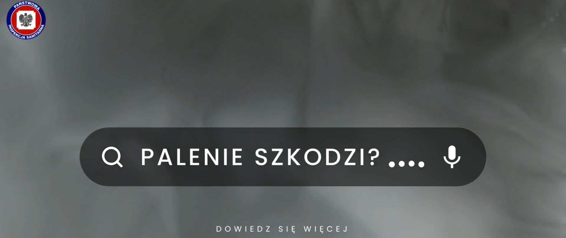 Na tle dymu papierosowego ikona wyszukiwania z napisem palenie szkodzi?...W lewym górnym rogu logo Państwowej Inspekcji Sanitarnej